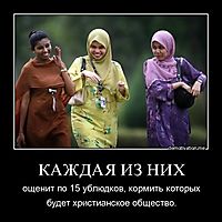 КАЖДАЯ ИЗ НИХ ощенит по 15 ублюдков, кормить которых будет христианское общество.
