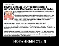 ЙОБАННЫЙ СТЫД 