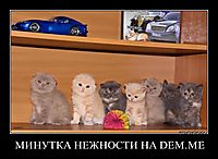МИНУТКА НЕЖНОСТИ НА DEM.ME 