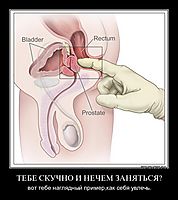 ТЕБЕ СКУЧНО И НЕЧЕМ ЗАНЯТЬСЯ? вот тебе наглядный пример,как себя увлечь.