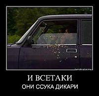 И ВСЕТАКИ ОНИ ССУКА ДИКАРИ