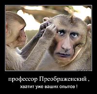 профессор Преображенский , хватит уже ваших опытов !
