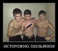 ОСТОРОЖНО, ОБЕЗЬЯНКИ! 