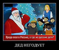 ДЕД НЕГОДУЕТ 