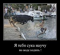 Я тебя сука научу по воде ходить !