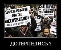 ДОТЕРПЕЛИСЬ ? 