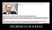 НЕСПРОСТА Ж Я КРАБ 