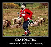 СВАТОВСТВО рамзан ищет себе еще одну жену