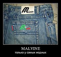 MALVINE только у самых модных