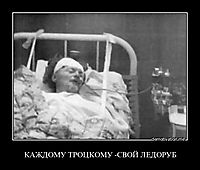 КАЖДОМУ ТРОЦКОМУ -СВОЙ ЛЕДОРУБ 
