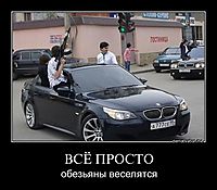 ВСЁ ПРОСТО обезьяны веселятся
