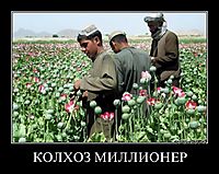 КОЛХОЗ МИЛЛИОНЕР 