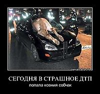 СЕГОДНЯ В СТРАШНОЕ ДТП попала ксения собчак