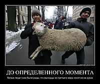 ДО ОПРЕДЕЛЕННОГО МОМЕНТА белые люди тоже были рады, что выходцы из третьего мира носят их на руках