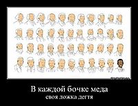 В каждой бочке меда