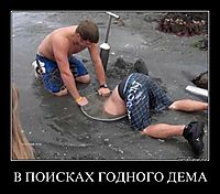 В ПОИСКАХ ГОДНОГО ДЕМА 