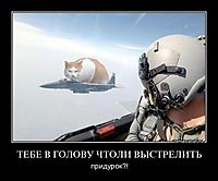 ТЕБЕ В ГОЛОВУ ЧТОЛИ ВЫСТРЕЛИТЬ придурок?!