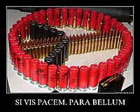 SI VIS PACEM, PARA BELLUM 