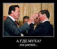 А ГДЕ МУХА? она улетела...
