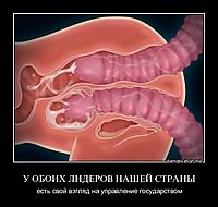 У ОБОИХ ЛИДЕРОВ НАШЕЙ СТРАНЫ есть свой взгляд на управление государством