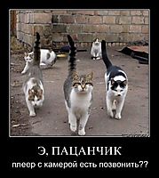 Э, ПАЦАНЧИК плеер с камерой есть позвонить??