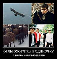 ОРЛЫ ОХОТЯТСЯ В ОДИНОЧКУ а шакалы же нападают стаей