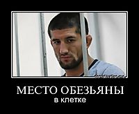 МЕСТО ОБЕЗЬЯНЫ в клетке