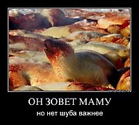ОН ЗОВЕТ МАМУ но нет шуба важнее