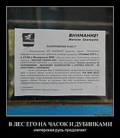 В ЛЕС ЕГО НА ЧАСОК И ДУБИНКАМИ имперская русь предлагает