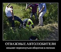 ОТВАЖНЫЕ АВТОЛЮБИТЕЛИ мешают перекинуться оборотню в погонах
