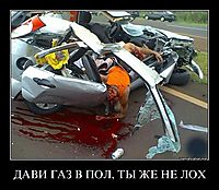 ДАВИ ГАЗ В ПОЛ, ТЫ ЖЕ НЕ ЛОХ 