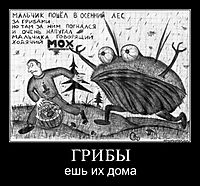 ГРИБЫ ешь их дома