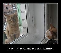 кто то всегда в выигрыше