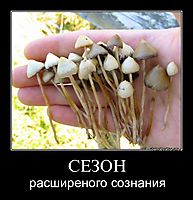 СЕЗОН расширеного сознания