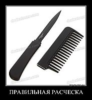ПРАВИЛЬНАЯ РАСЧЕСКА 