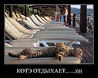 КОТЭ ОТДЫХАЕТ.......)))) 