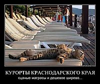 КУРОРТЫ КРАСНОДАРСКОГО КРАЯ сцаные матрасы и дешевое ширево...
