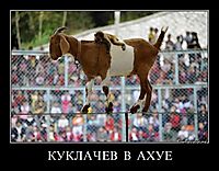 КУКЛАЧЕВ  В  АХУЕ 