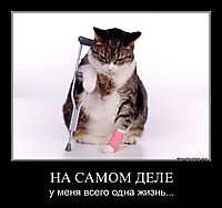НА САМОМ ДЕЛЕ у меня всего одна жизнь...