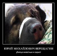 ЮРИЙ МИХАЙЛОВИЧ ВЕРЕЩАГИН убийца животных и садист