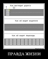ПРАВДА ЖИЗНИ 