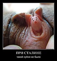 ПРИ СТАЛИНЕ такой хуйни не было