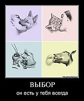 ВЫБОР