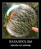 КАЗАЛОСЬ БЫ причём тут доллар