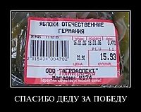 СПАСИБО ДЕДУ ЗА ПОБЕДУ 