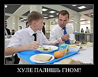 ХУЛЕ ПАЛИШЬ ГНОМ? 