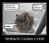 ПРЯЧЬТЕ ТАПКИ, СУКИ! 