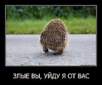 ЗЛЫЕ ВЫ, УЙДУ Я ОТ ВАС 