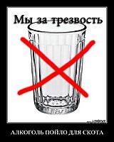 АЛКОГОЛЬ ПОЙЛО ДЛЯ СКОТА
