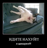 ИДИТЕ НАХУЙ!!! я шикарен!!!